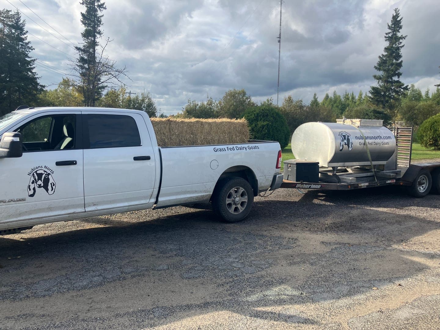Nubians North milk transport truck on the road